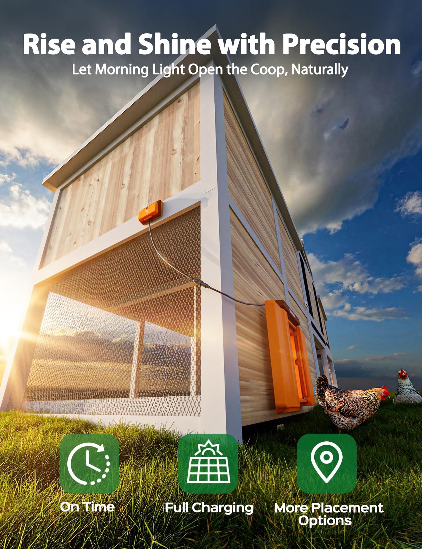 Large Size Automatic Chicken Coop Door Solar