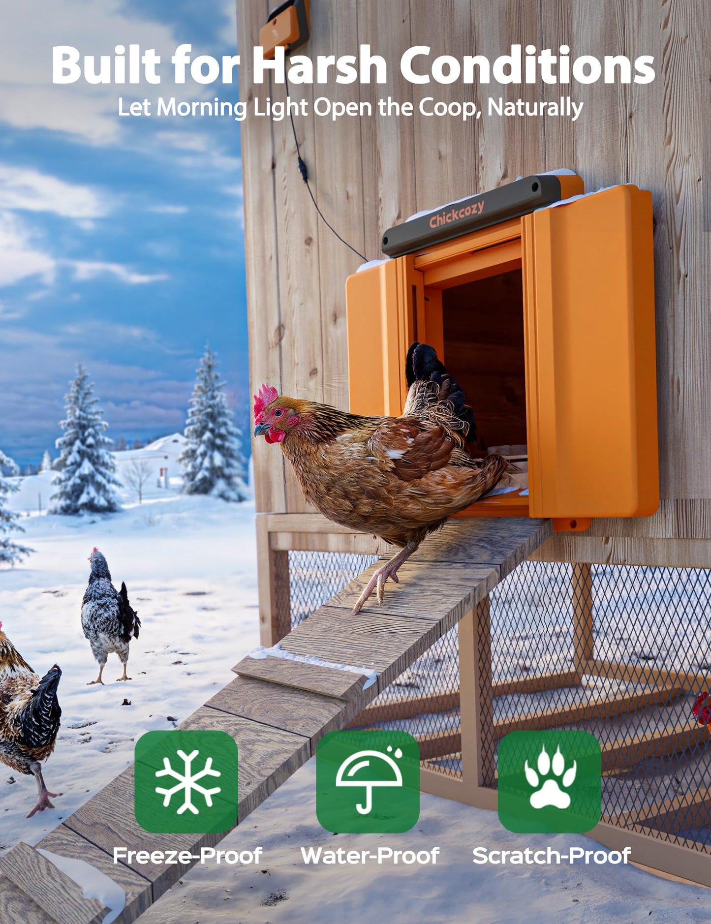 Large Size Automatic Chicken Coop Door Solar